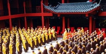 现代因果实录三&nbsp;&nbsp;解脱之路